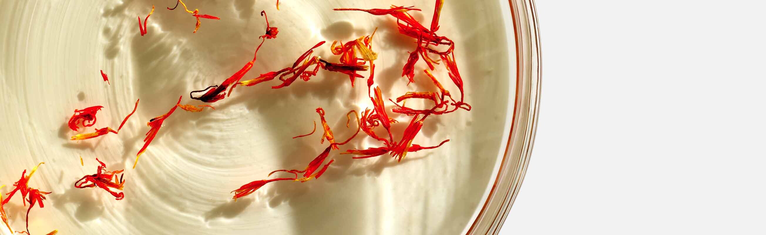 Safflower Seed